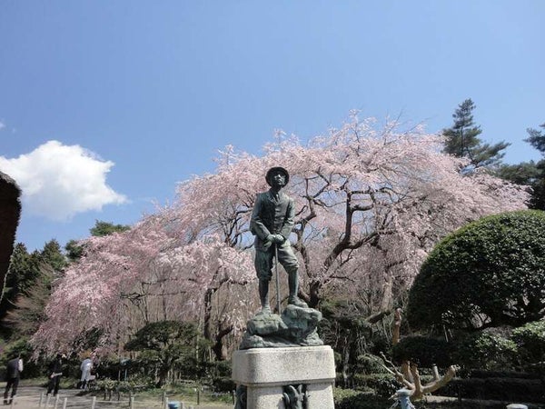 【埼玉県内発】 春らんまんミステリーツアー 日帰り2